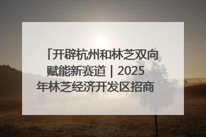 开辟杭州和林芝双向赋能新赛道｜2025年林芝经济开发区招商引资（杭州）推介展销活动在杭举办