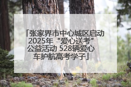 张家界市中心城区启动2025年“爱心送考”公益活动 528辆爱心车护航高考学子