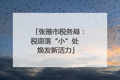 张掖市税务局：税惠落“小”处 焕发新活力