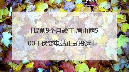 提前9个月竣工 眉山西500千伏变电站正式投运