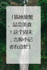 插秧放蟹、品尝美食！这个周末，吉报小记者有点忙
