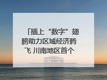 插上“数字”翅膀助力区域经济腾飞 川南地区首个智算中心启动