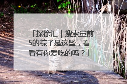 探徐汇｜搜索量前5的粽子是这些，看看有你爱吃的吗？