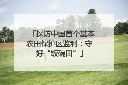 探访中国首个基本农田保护区监利：守好“饭碗田”
