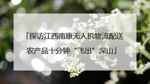 探访江西南康无人机物流配送 农产品十分钟“飞出”深山