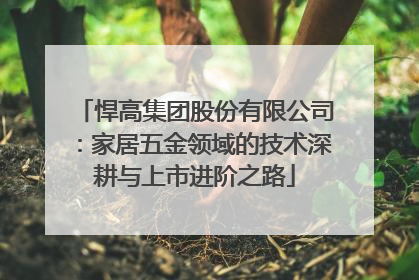 悍高集团股份有限公司：家居五金领域的技术深耕与上市进阶之路