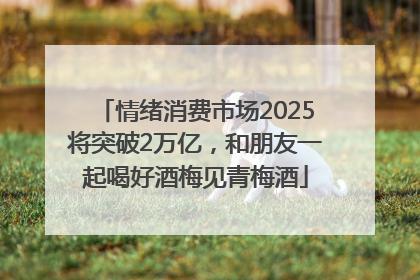情绪消费市场2025将突破2万亿，和朋友一起喝好酒梅见青梅酒