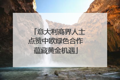 意大利商界人士点赞中欧绿色合作蕴藏黄金机遇