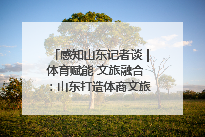 感知山东记者谈｜体育赋能 文旅融合：山东打造体商文旅融合发展新格局