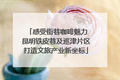 感受街巷咖啡魅力 昆明铁皮巷及巡津片区打造文旅产业新坐标