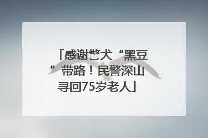 感谢警犬“黑豆”带路！民警深山寻回75岁老人