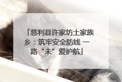 慈利县许家坊土家族乡：筑牢安全防线 一路“未”爱护航