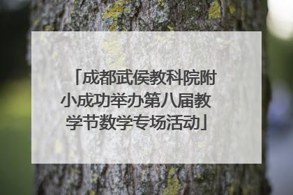 成都武侯教科院附小成功举办第八届教学节数学专场活动