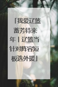 我爱辽篮 蓄芳待来年丨辽篮当针对阵容短板选外援