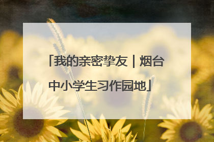 我的亲密挚友｜烟台中小学生习作园地