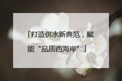 打造供水新典范，赋能“品质西海岸”
