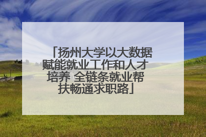 扬州大学以大数据赋能就业工作和人才培养 全链条就业帮扶畅通求职路