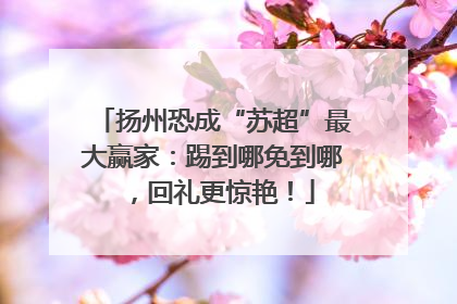 扬州恐成“苏超”最大赢家：踢到哪免到哪，回礼更惊艳！