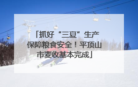 抓好“三夏”生产 保障粮食安全！平顶山市麦收基本完成