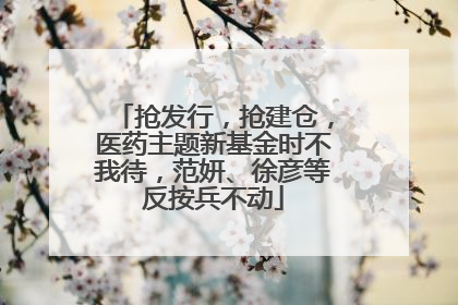 抢发行，抢建仓，医药主题新基金时不我待，范妍、徐彦等反按兵不动