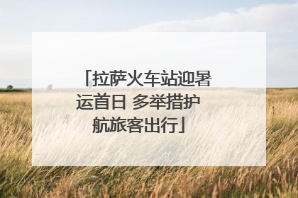 拉萨火车站迎暑运首日 多举措护航旅客出行