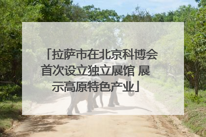 拉萨市在北京科博会首次设立独立展馆 展示高原特色产业