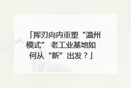 挥刃向内重塑“温州模式” 老工业基地如何从“新”出发？