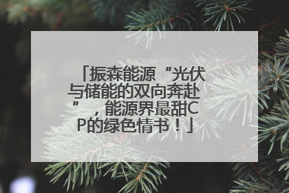 振森能源“光伏与储能的双向奔赴”，能源界最甜CP的绿色情书！