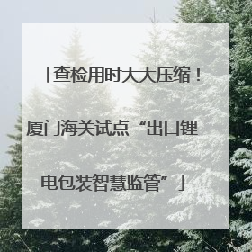 查检用时大大压缩！厦门海关试点“出口锂电包装智慧监管”