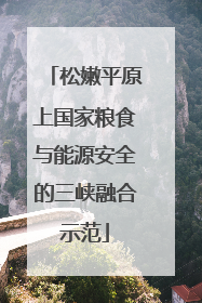 松嫩平原上国家粮食与能源安全的三峡融合示范