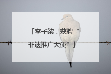 李子柒，获聘“非遗推广大使”