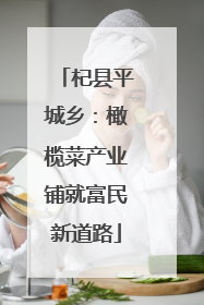 杞县平城乡：橄榄菜产业铺就富民新道路