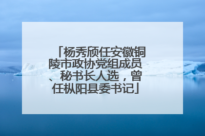 杨秀颀任安徽铜陵市政协党组成员、秘书长人选，曾任枞阳县委书记