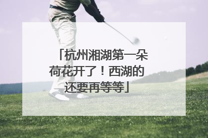 杭州湘湖第一朵荷花开了！西湖的还要再等等