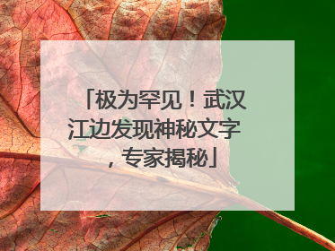 极为罕见！武汉江边发现神秘文字，专家揭秘
