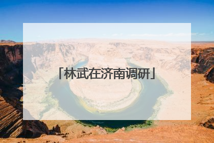 林武在济南调研