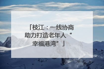 枝江：一线协商助力打造老年人“幸福港湾”