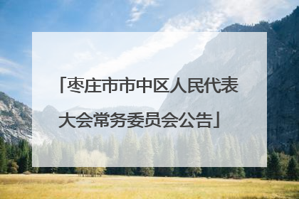 枣庄市市中区人民代表大会常务委员会公告