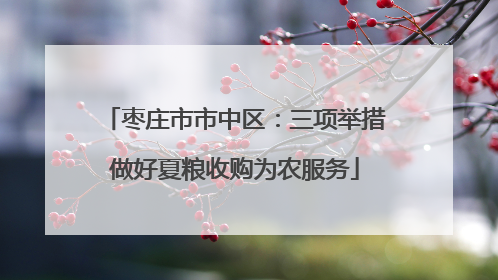 枣庄市市中区：三项举措做好夏粮收购为农服务