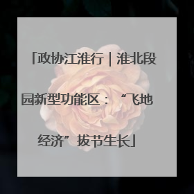 政协江淮行｜淮北段园新型功能区：“飞地经济”拔节生长