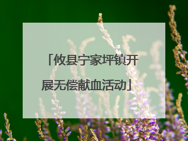 攸县宁家坪镇开展无偿献血活动