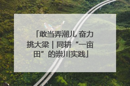 敢当弄潮儿 奋力挑大梁｜同耕“一亩田”的崇川实践