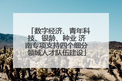 数字经济、青年科技、银龄、种业 济南专项支持四个细分领域人才队伍建设