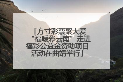 方寸彩票聚大爱 “福暖彩云南”走进福彩公益金资助项目活动在曲靖举行