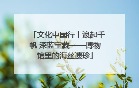文化中国行丨浪起千帆 深蓝宝藏——博物馆里的海丝遗珍