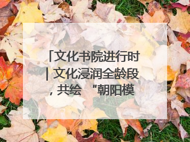 文化书院进行时｜文化浸润全龄段，共绘 “朝阳模式” 新图景！
