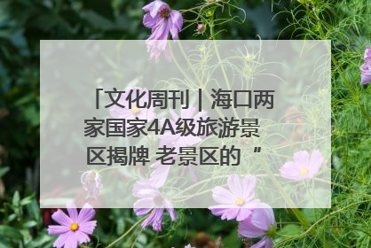 文化周刊｜海口两家国家4A级旅游景区揭牌 老景区的“焕新”密码