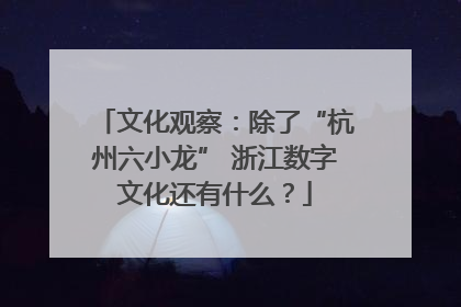 文化观察：除了“杭州六小龙” 浙江数字文化还有什么？
