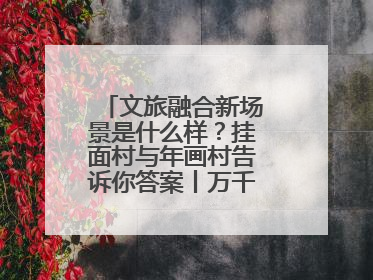 文旅融合新场景是什么样？挂面村与年画村告诉你答案丨万千气象看四川