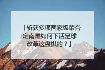 斩获多项国家级荣誉 定南是如何下活足球改革这盘棋的？